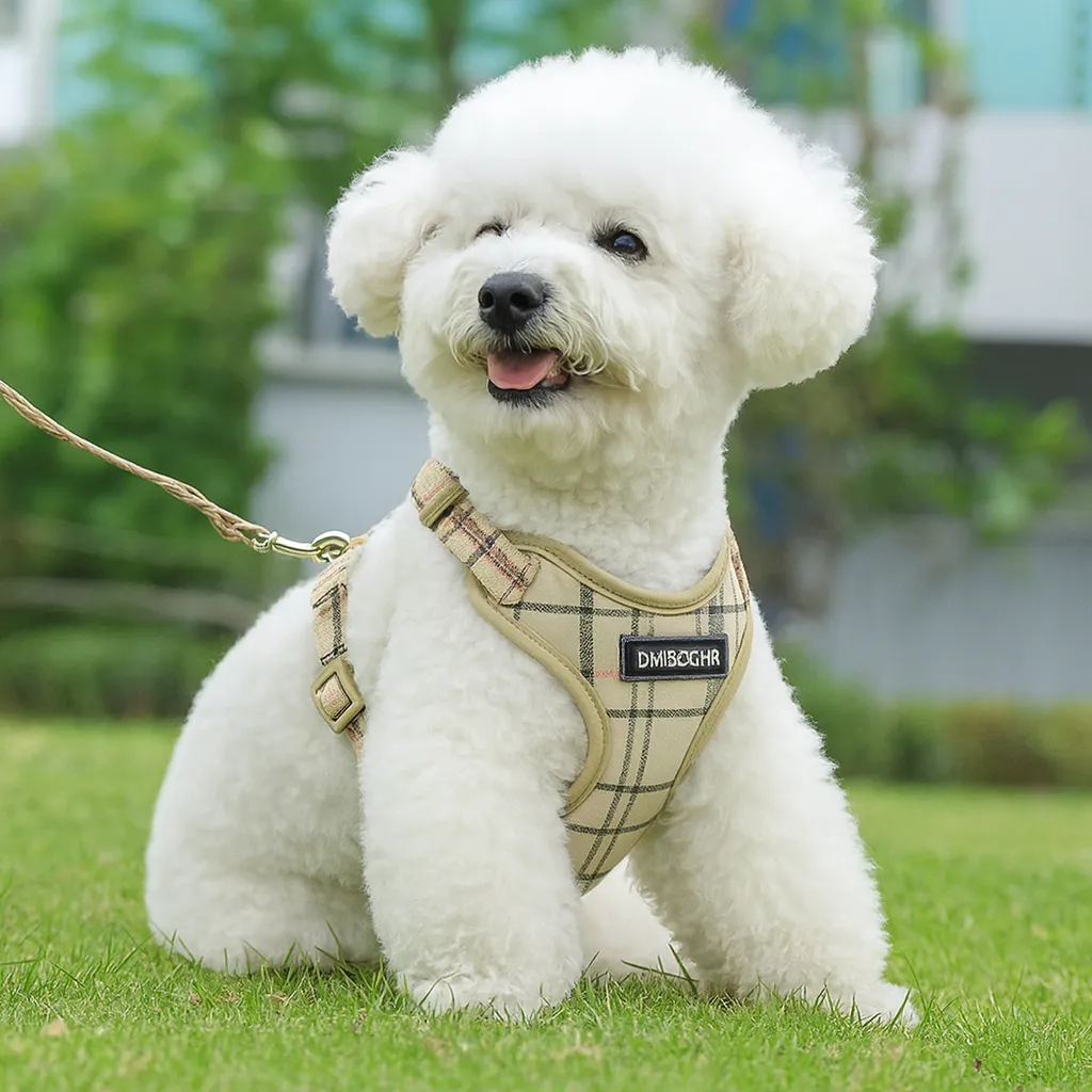 Postroj pro psy se vodítkem – Prodyšný - Obrázek 4