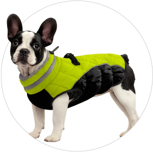 Zimní oblečky pro psy