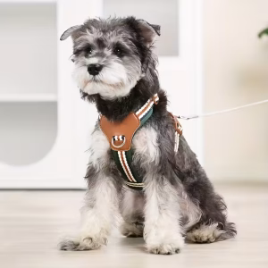 Alternative view of Postroj pro psy – Nastavitelný, prodyšný