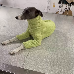 Alternative view of Zimní Teplý Fleece Overal pro Psy – Vysoký Límec, Měkký a Elastický