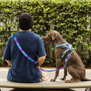 Alternative view of Hands-free nastavitelné vodítko pro psy – víceúčelové, pevné