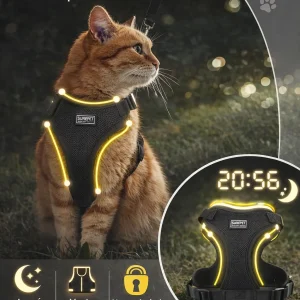 Alternative view of Postroj a vodítko pro kočky